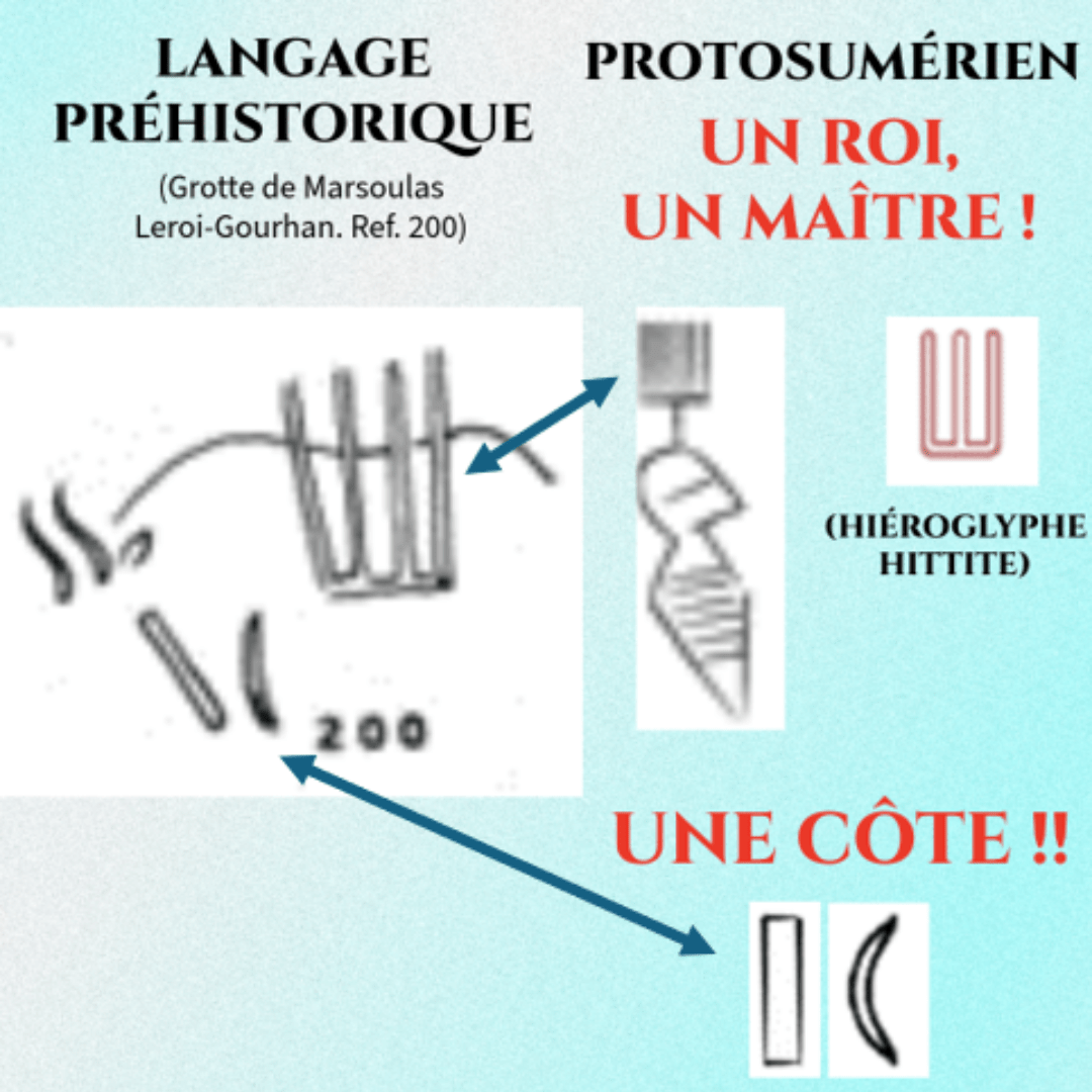 Décryptage Grotte de Marsoulas - Fresques 200 et 138